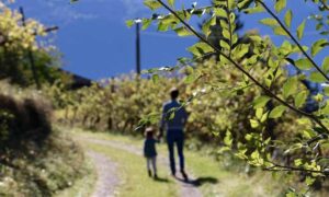 تربیت فرزند